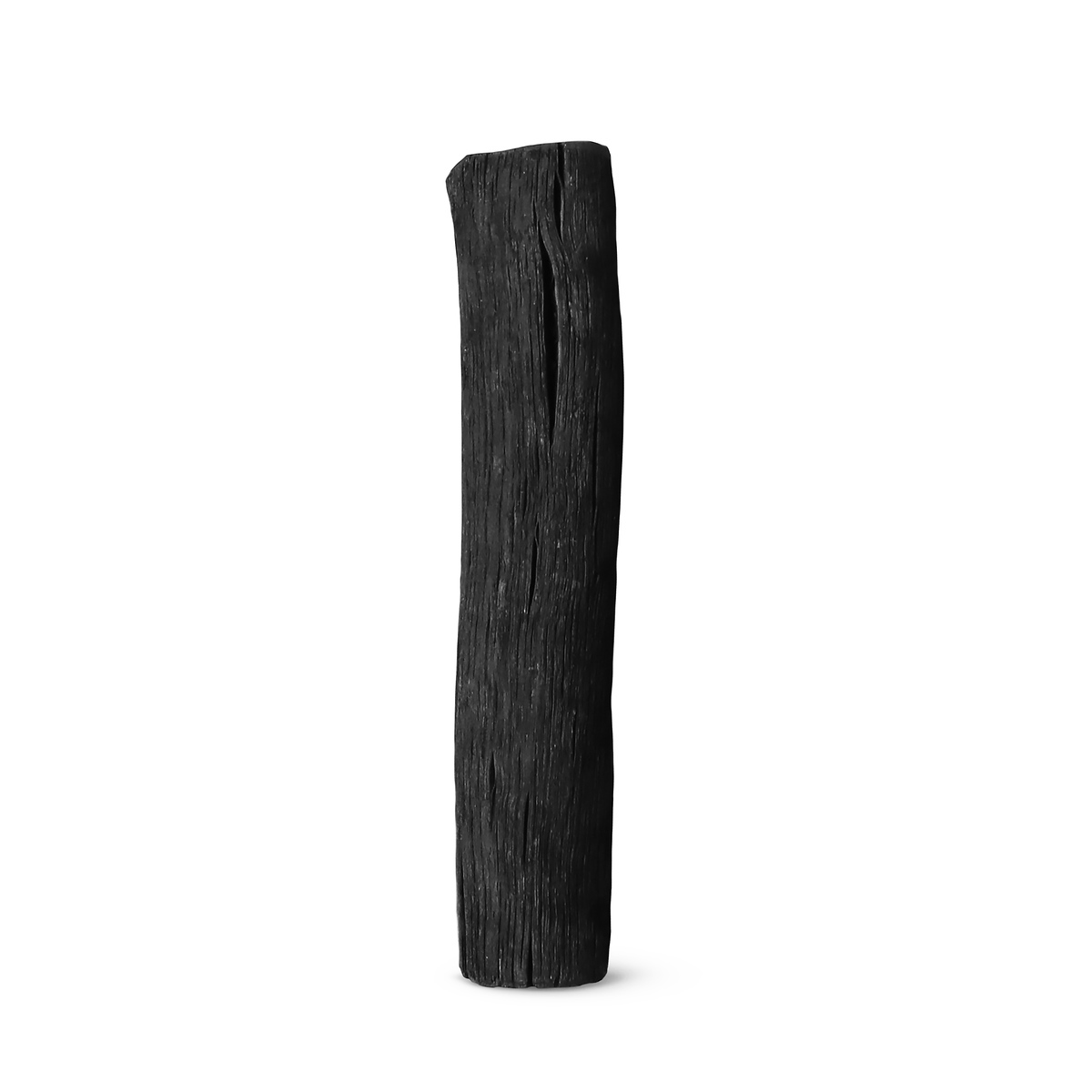 فیلتر آب زغال فعال (بسته ۲ عددی) | Active Charcoal Water Filter x2