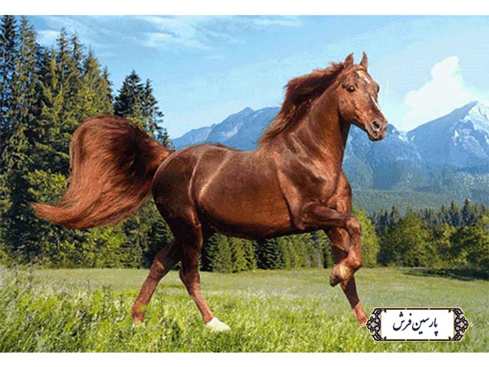 نخ و نقشه تابلو فرش اسب در طبیعت - کد NH3540