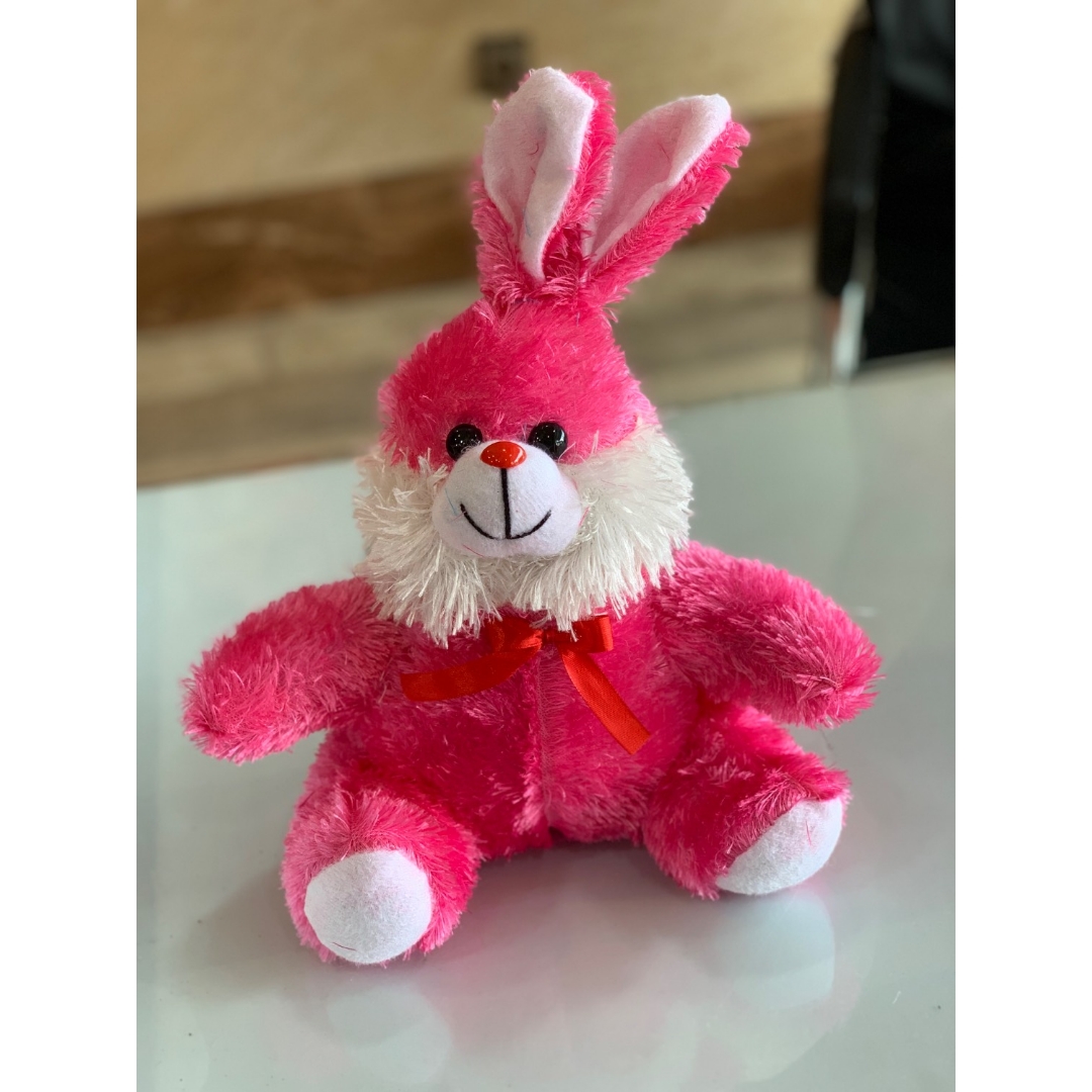 عروسک خرگوش سوزنی صورتی۳۰ سانتی