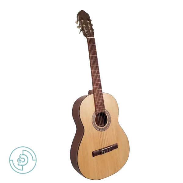 ساز گیتار بنبرگ BG 491M