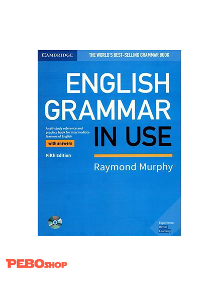 English Grammar in Use Intermediate