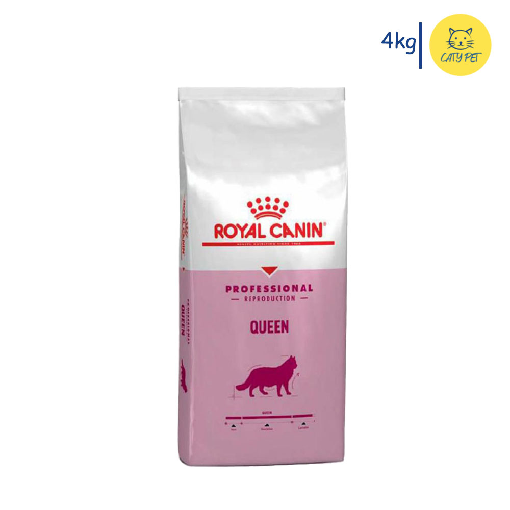 غذای خشک گربه رویال کنین کوئین Professional Queen وزن 4 کیلوگرم