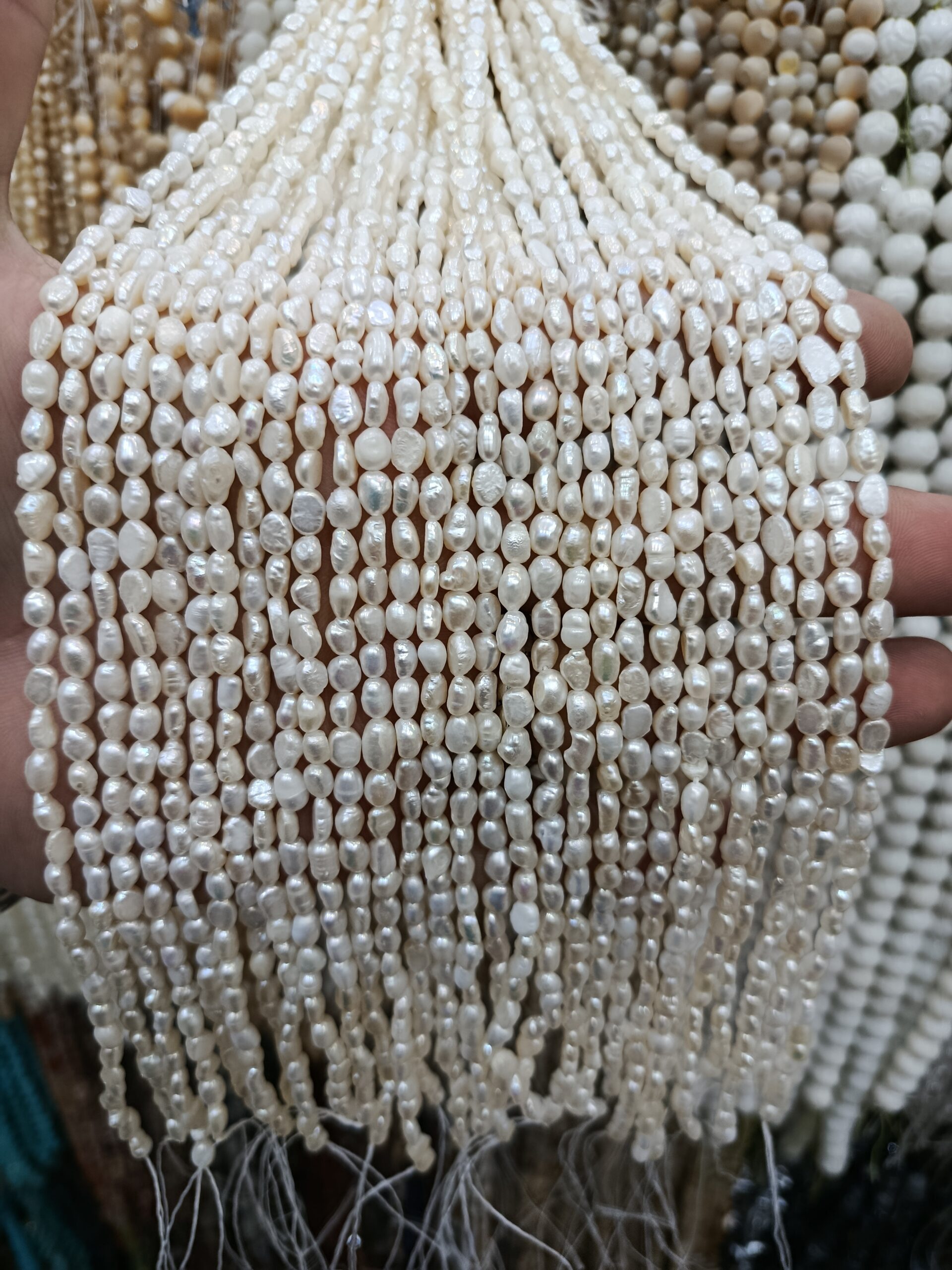 مروارید گندمی کشیده سایز ۴و۵