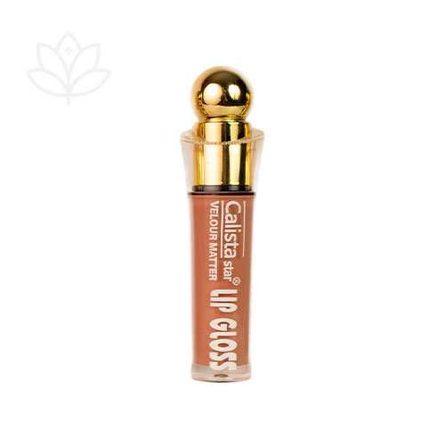 رژلب مایع 24 ساعت کالیستا مدل Gloss Lip شماره 02