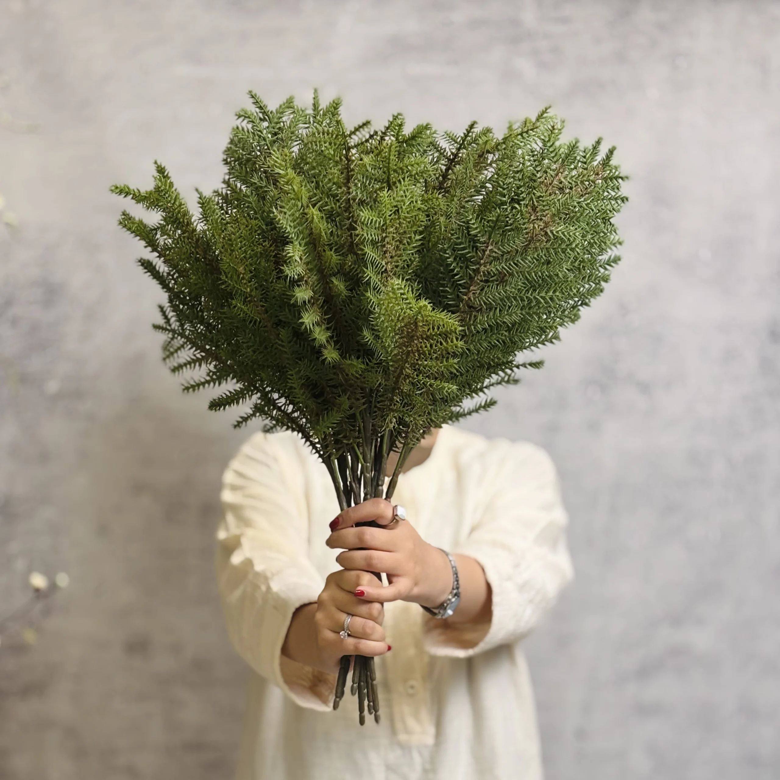 کاج‌ژاپنی
