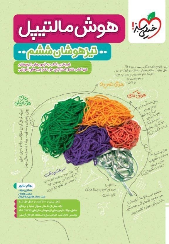 کتاب هوش مالتیپل - نشر خیلی سبز