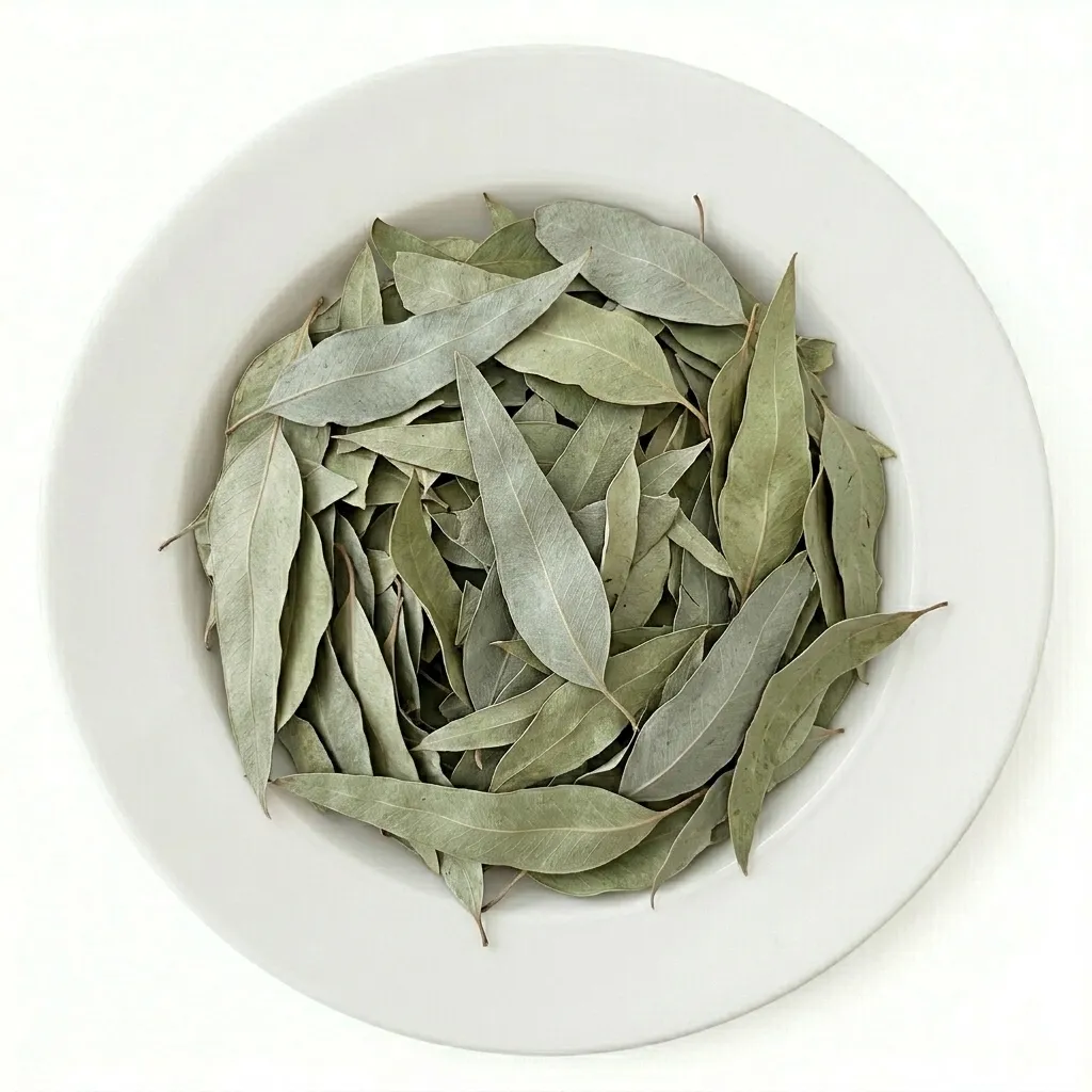 برگ اکالیپتوس