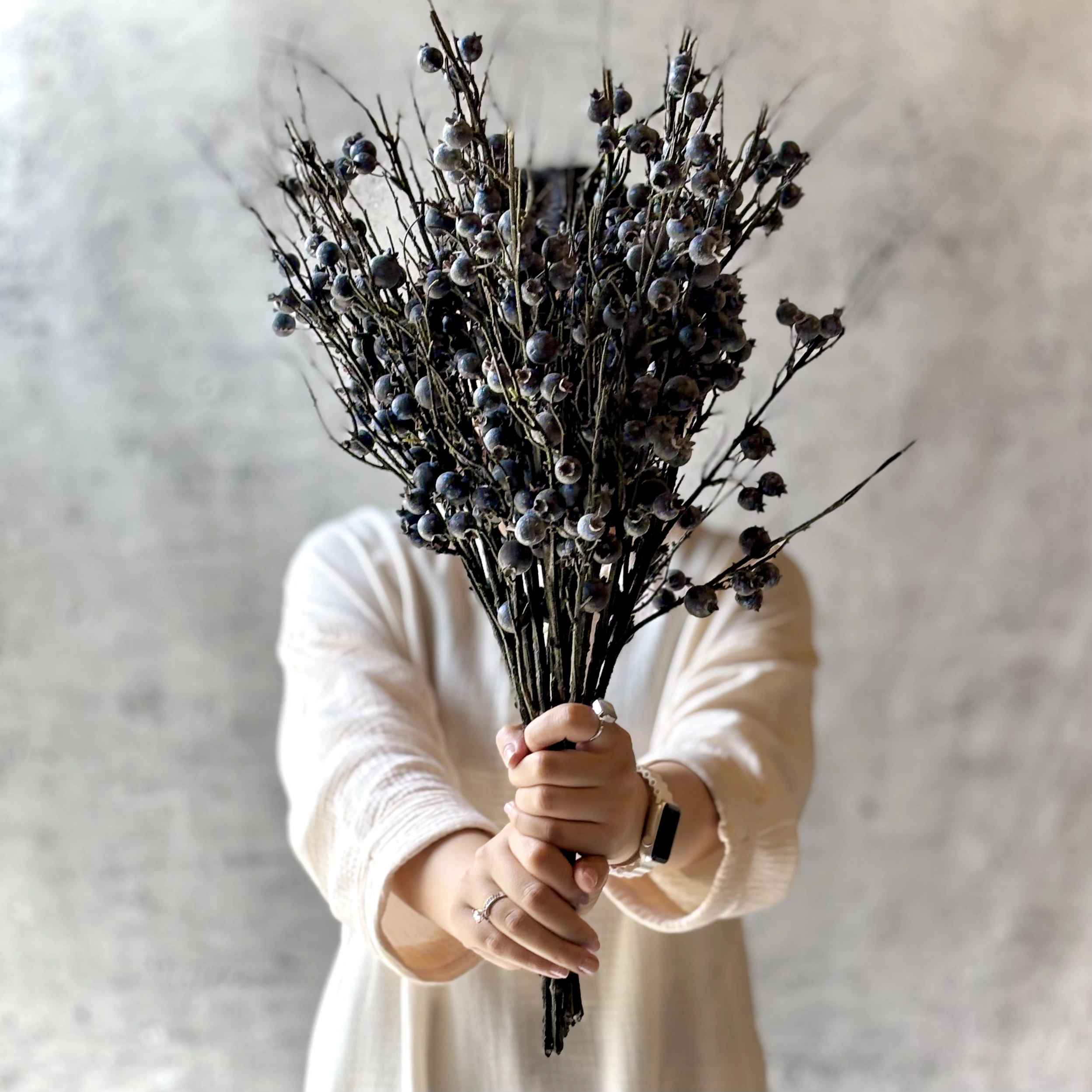 شاخه مینی بری بنفش