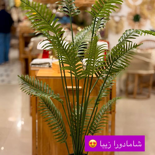 شامادورا