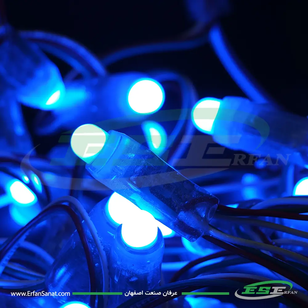 ریسه LED انگشتی فول کالر (برنامه پذیر) IP68 | قیمت و خرید مستقیم