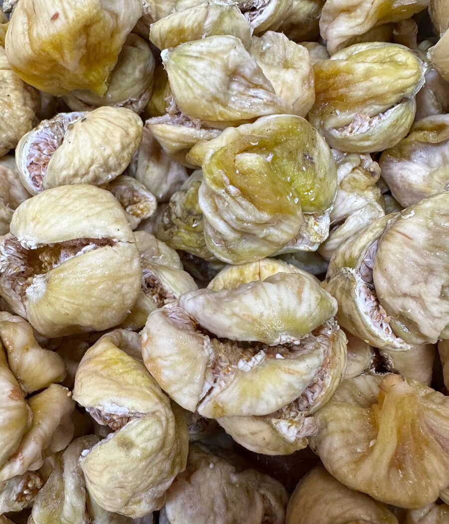 انجیر خندان ریجاب