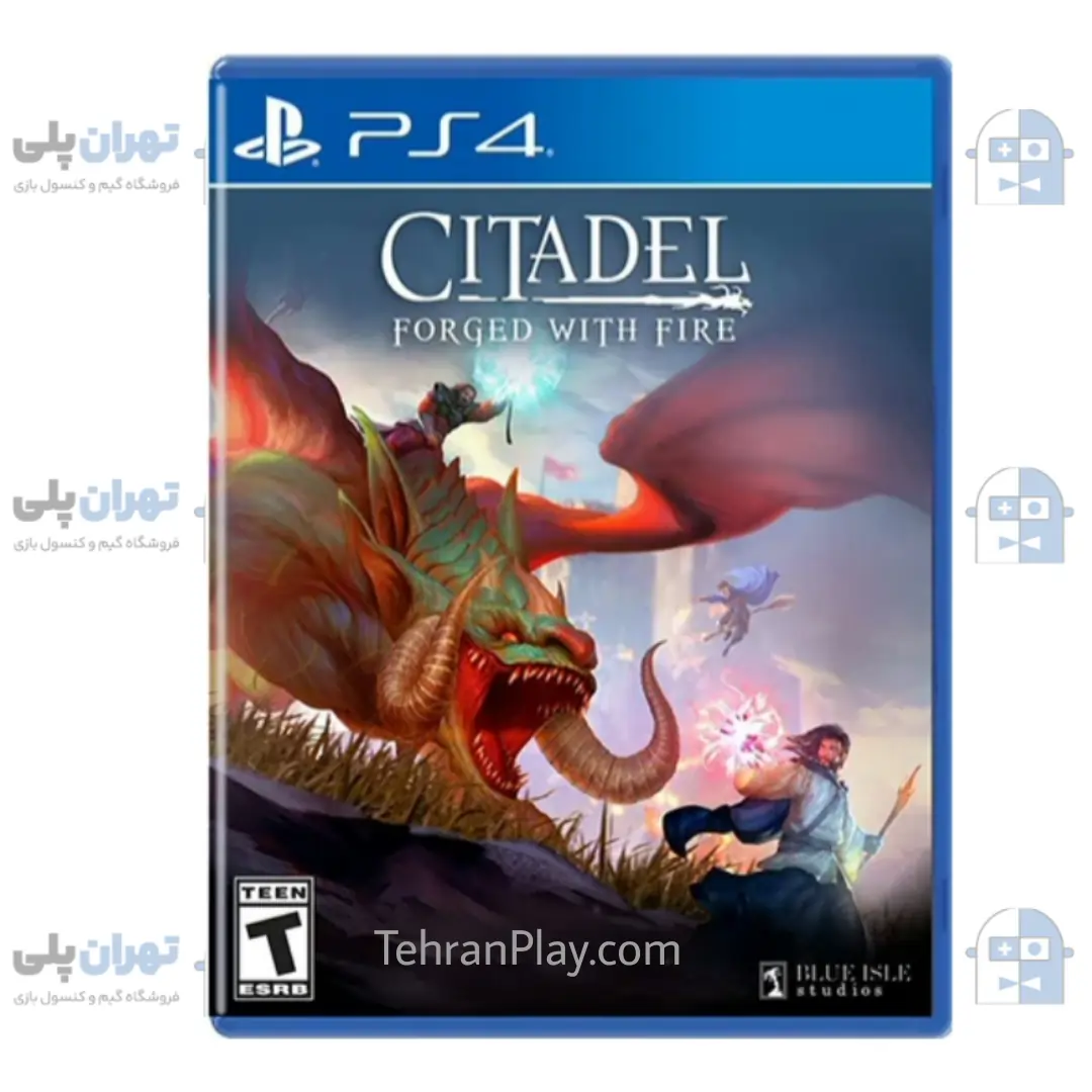 بازی Citadel Forged With Fire برای PS4