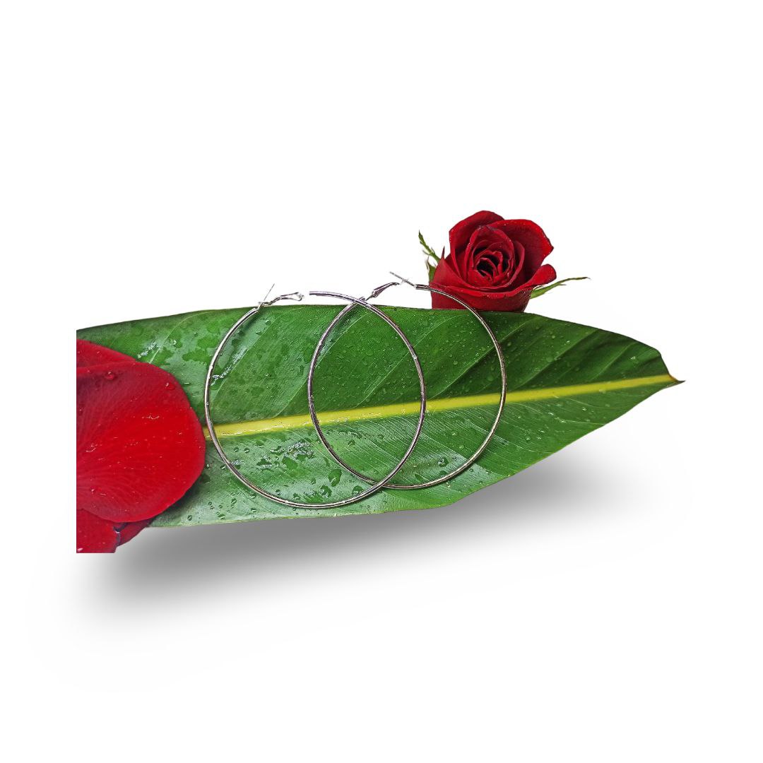 گوشواره استیل حلقه ای سایز بزرگ شماره 1