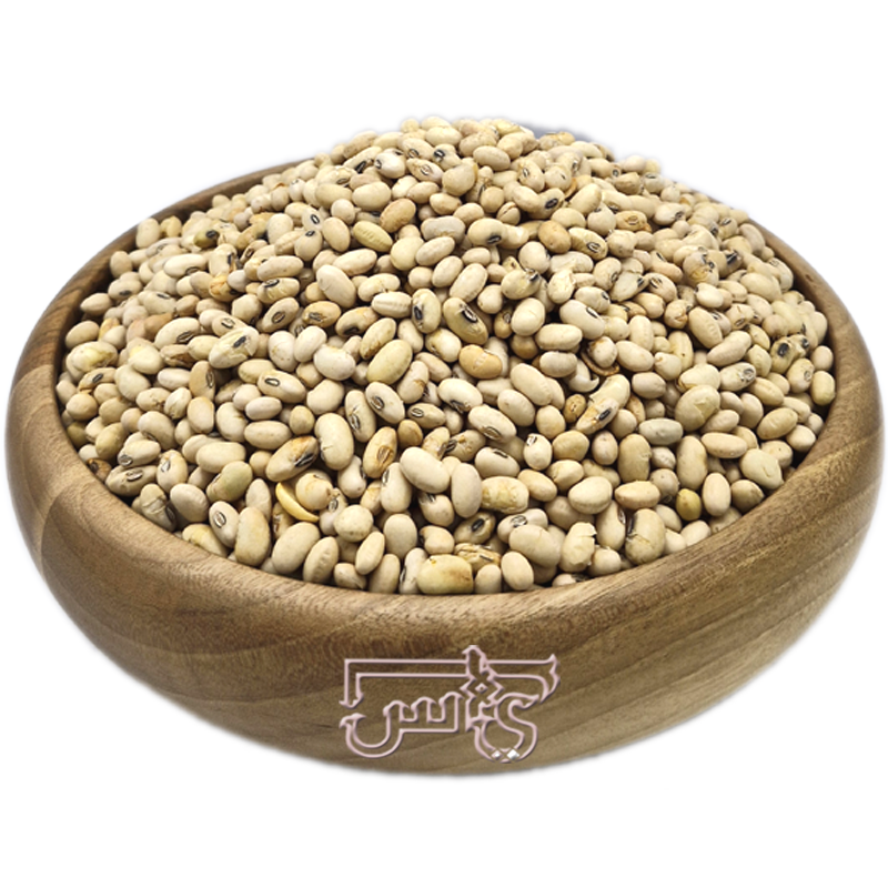 سویا آجیلی