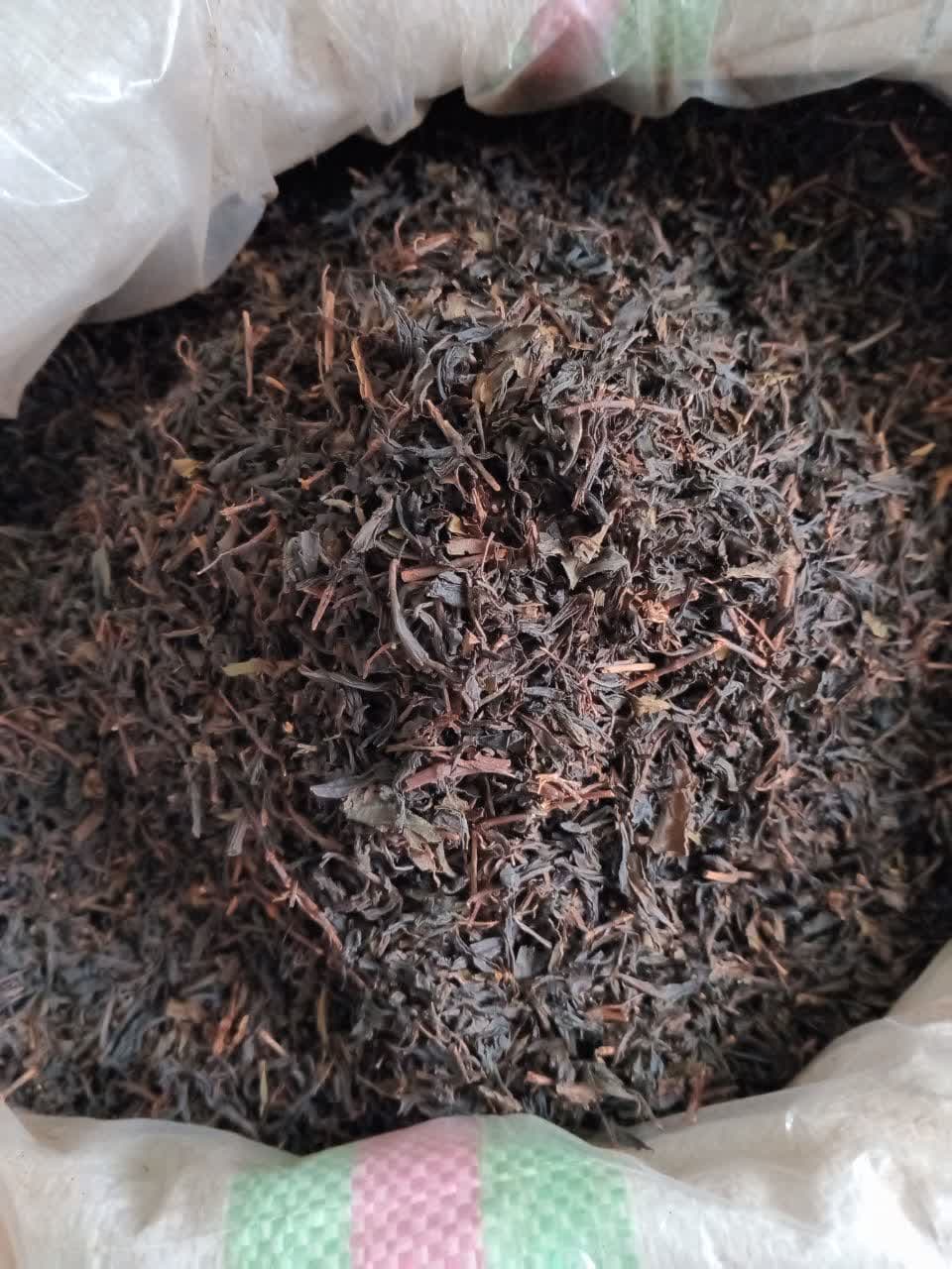 چای قلم بهاره طبیعی و خوش عطر و رنگ شمال