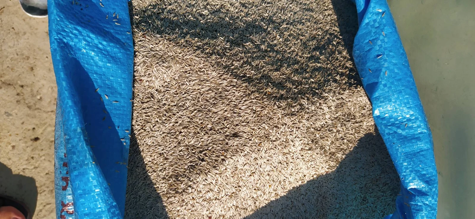 فرش تست برای یاسین