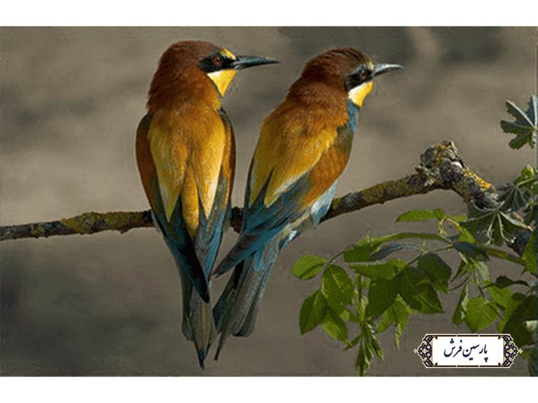 نخ و نقشه تابلو فرش طرح دو پرنده - کد NH3548