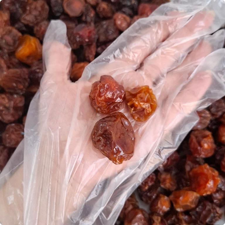 آلوچه ترش و شیرین