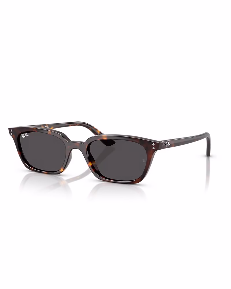 عینک آفتابی زنانه ریبن مدل RayBan RB4456 Zaya - فریم هاوانا عدسی مشکی