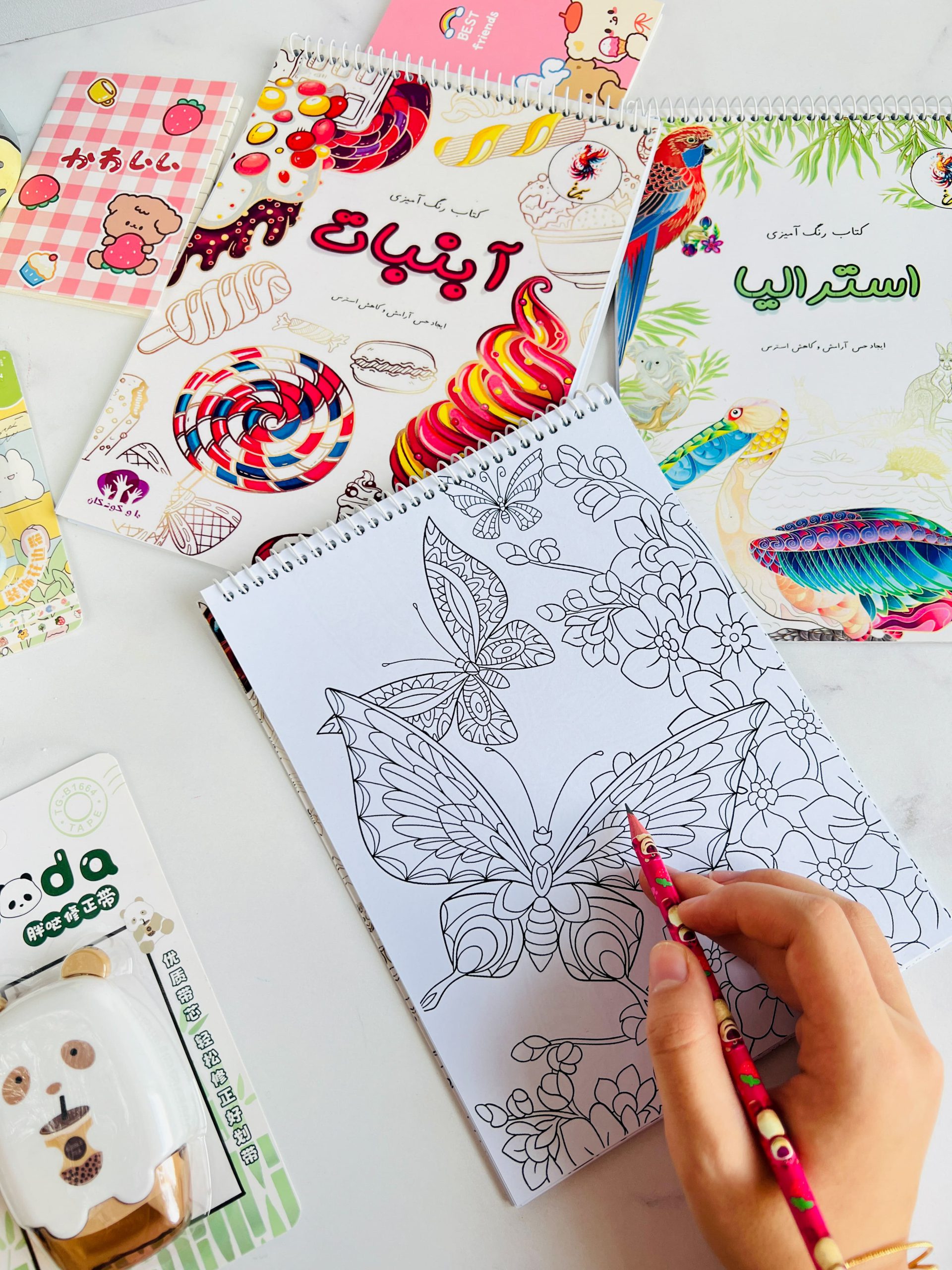 دفتر رنگ آمیزی بزرگسال ۲