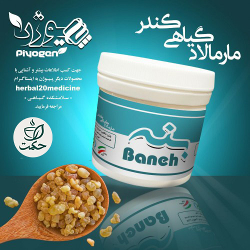 ریچل گیاهی بنه (تقویت حافظه)