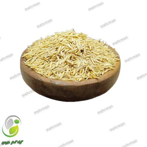 جو دوسر(یولایف)(کد 05)