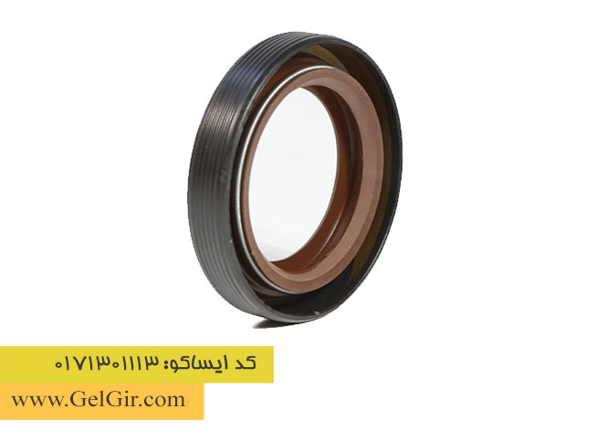 کاسه نمدپلوس (بزرگ) چپ پژو405ویژن