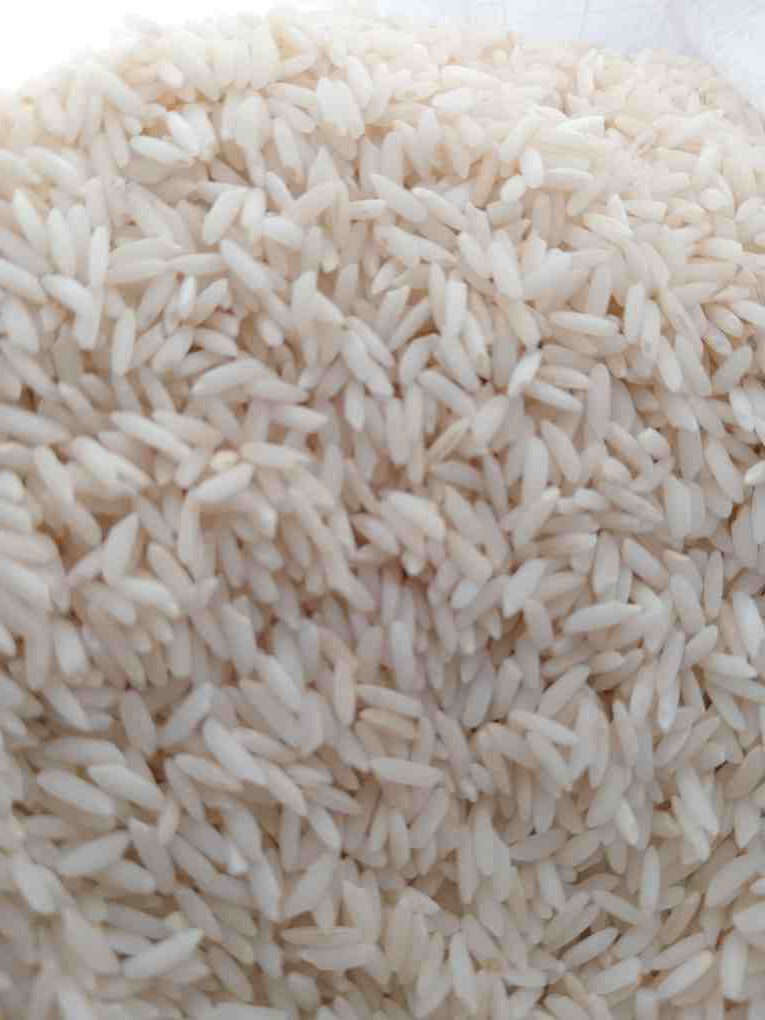 برنج علی کاظمی اعلا گیلشا ۱۴۰۴