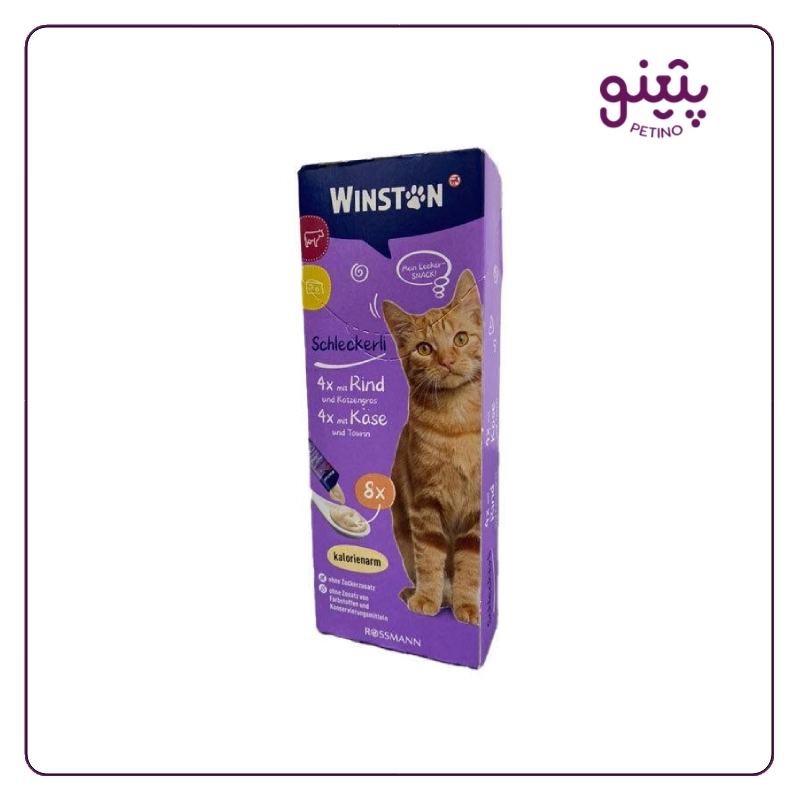 بستنی گربه وینستون با طعم گوشت و پنیر