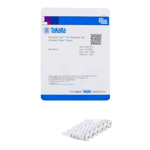 کیت سنتز cDNA مدل PrimeScript RT Reagent