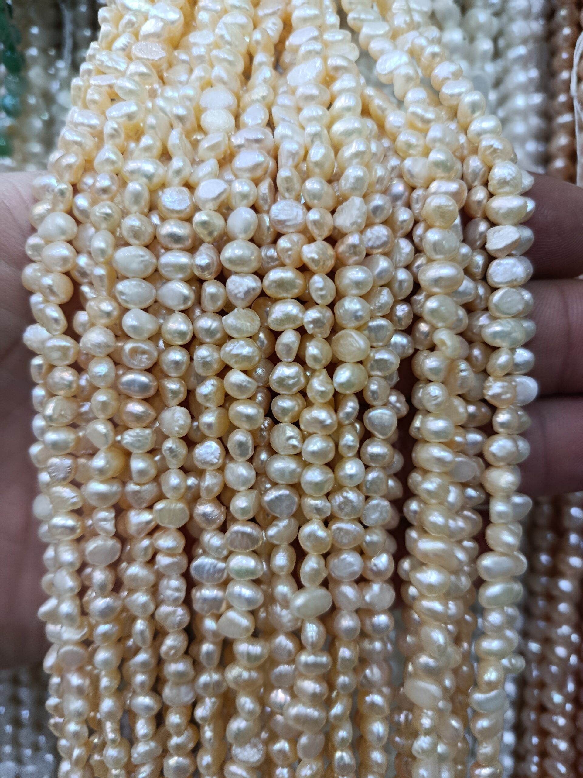 لپه ای 5.5 شامپاینی زیبا کد 680