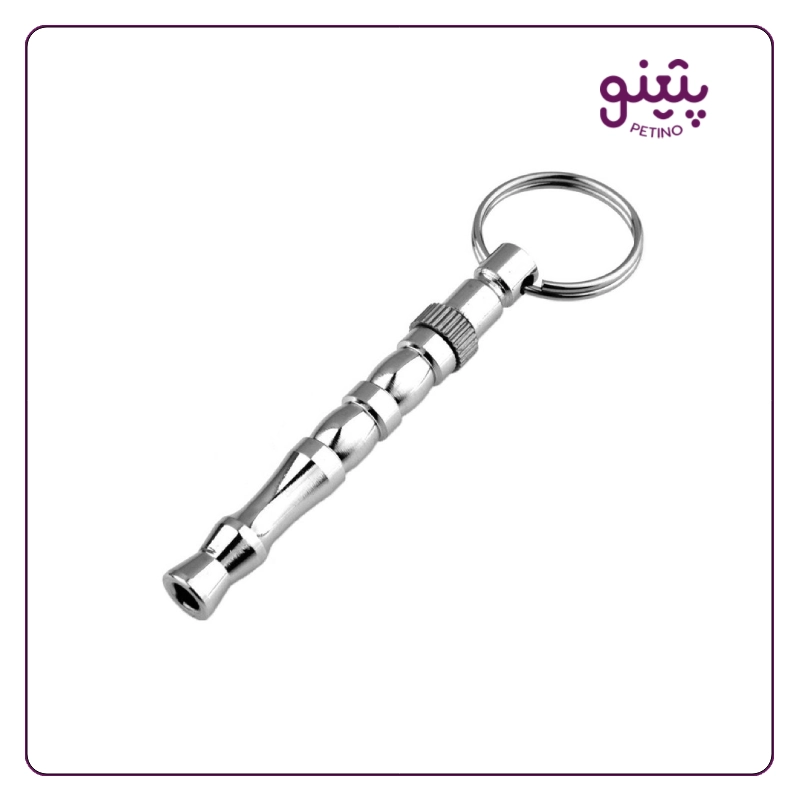 سوت آموزشی سگ