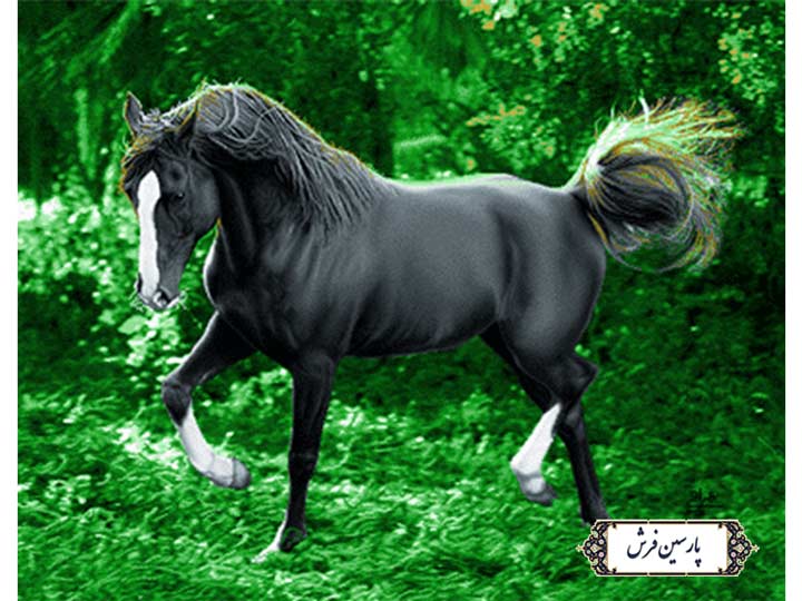 نخ و نقشه تابلو فرش طرح اسب سیاه - کد NH3573