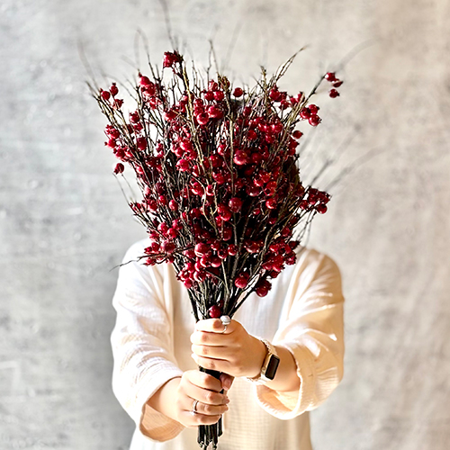 شاخه مینی بری قرمز