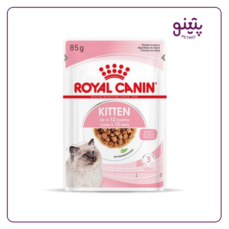 پوچ بچه گربه رویال کنین کیتن
