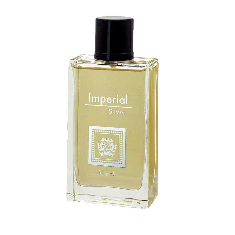 ادکلن دینا پرفیومز امپریال سیلور بلک Imperial Silver BLack مردانه ۱۰۰ میلی لیتر