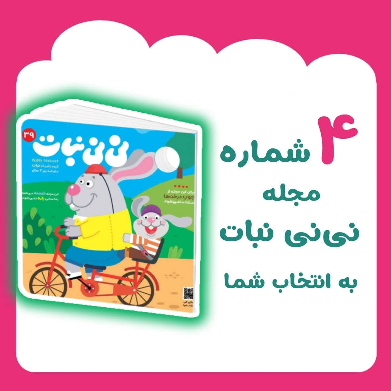 بسته 4 جلدی نی نی نبات