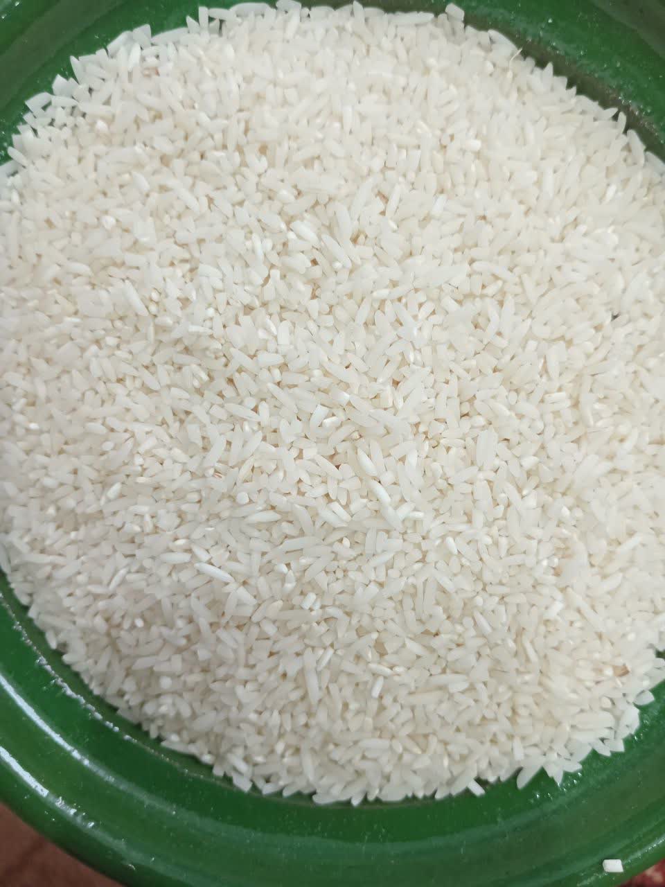 برنج لاشه اقتصادی گیلشا