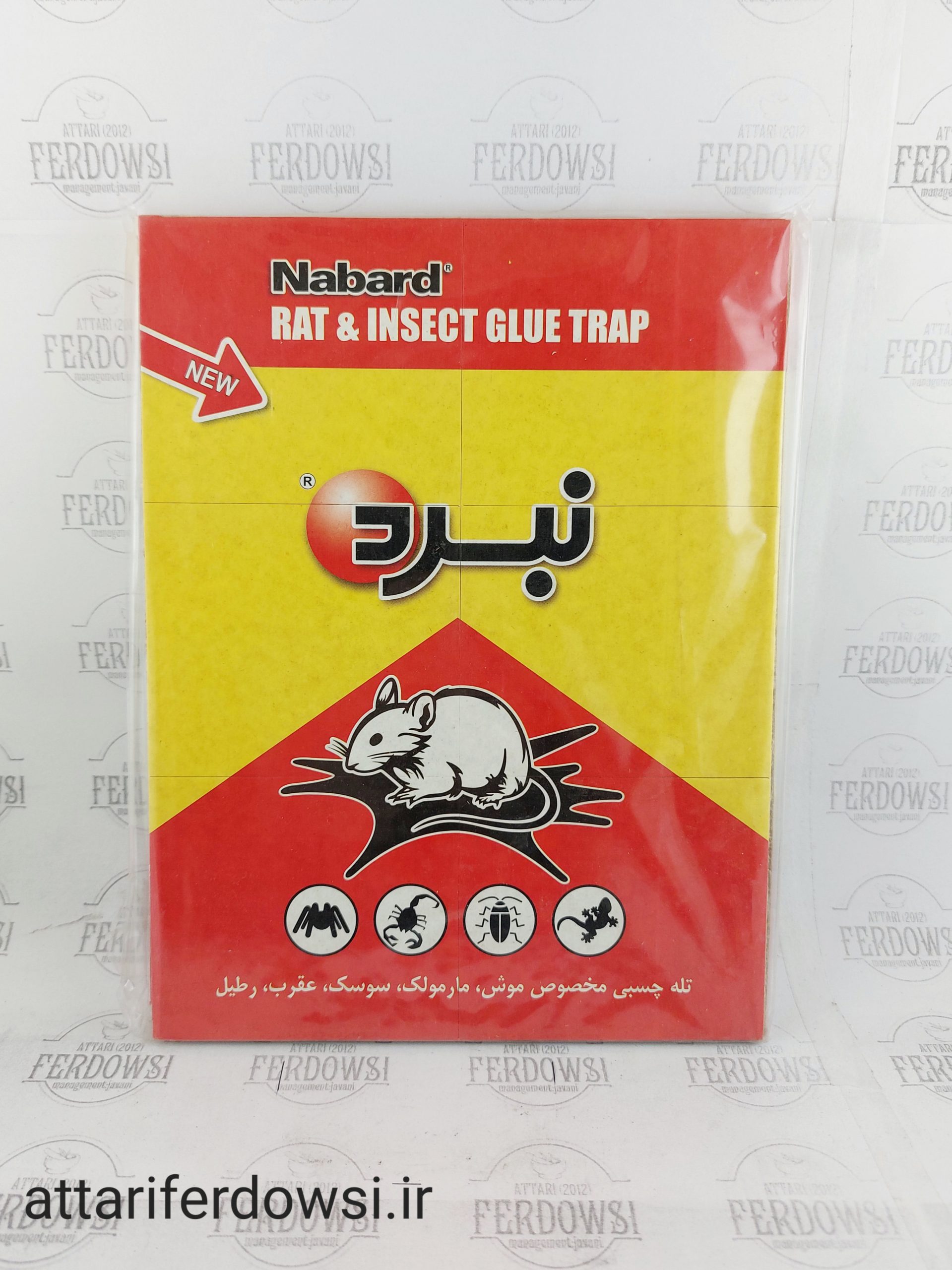 چسب موش (نبرد)