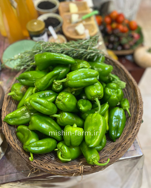 فلفل کاپی