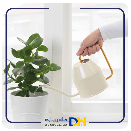 آبپاش دستی ایکیاVATTENKRASSE