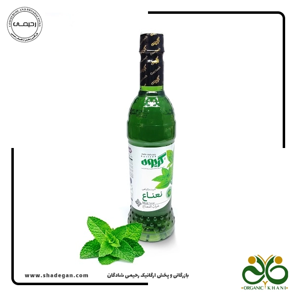 شربت نعناع گریوه - 900 گرم