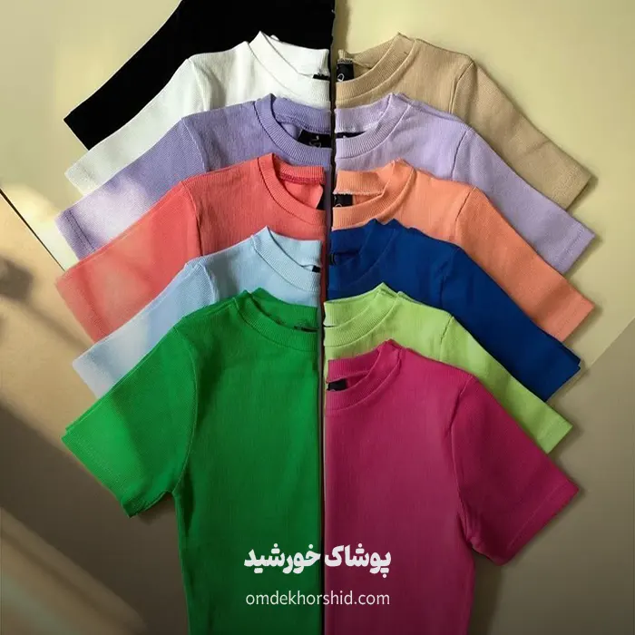 کراپ بیسیک یقه گرد