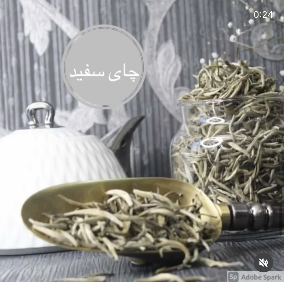 چای سفید