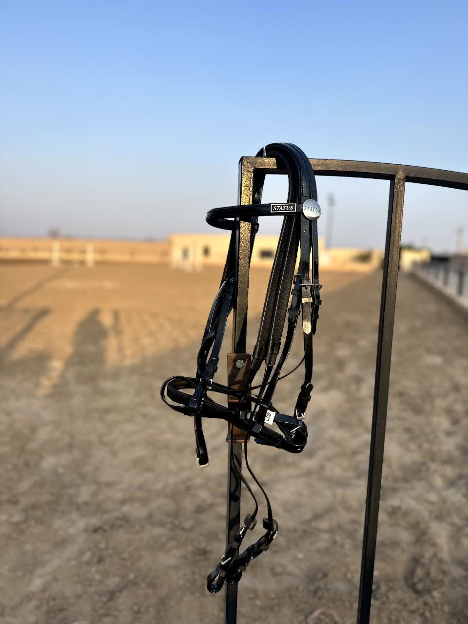 کله گی دستجلو استاتوس