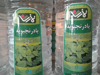 عرق بادرنجبویه نمازی