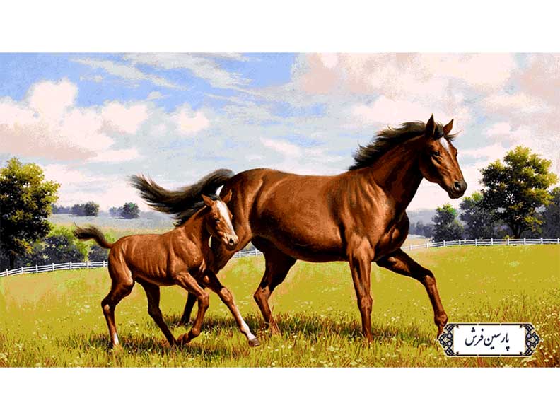 نخ و نقشه تابلو فرش اسب و کره اسب - کد NH3572