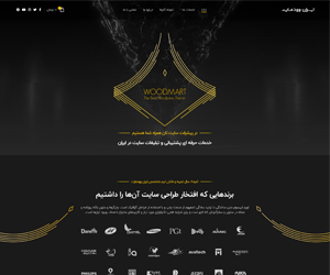 سفارش سایت خدماتی
