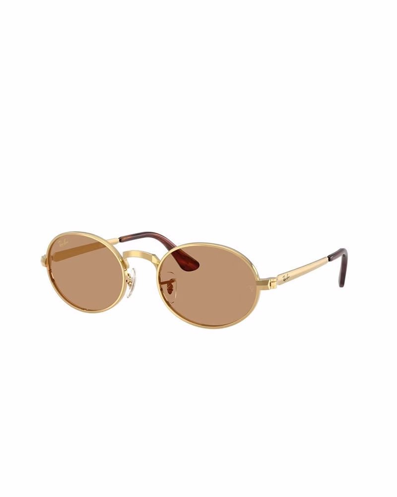 عینک آفتابی زنانه ریبن مدل Rayban RB3931 - فريم طلايي عدسي قهوه اي