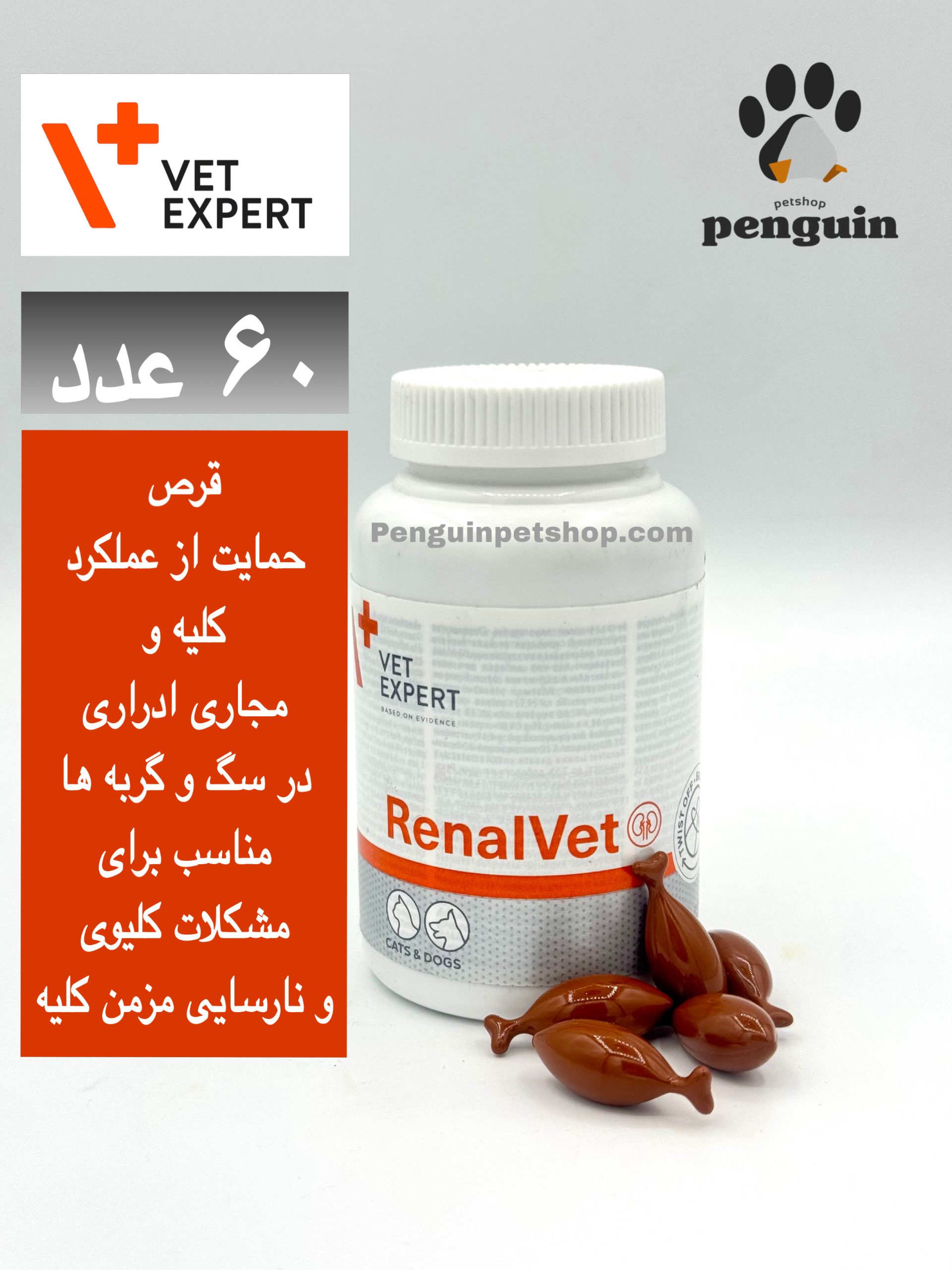 قرص رنال وت مخصوص مشکلات کیلوی سگ و گربه وت اکسپرت RENALVET بسته 60 عددی